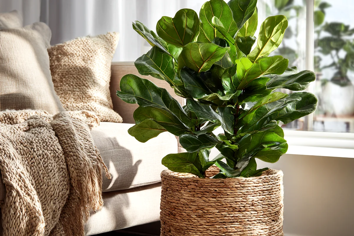 5. Integrating Live Plants and Organic Textures