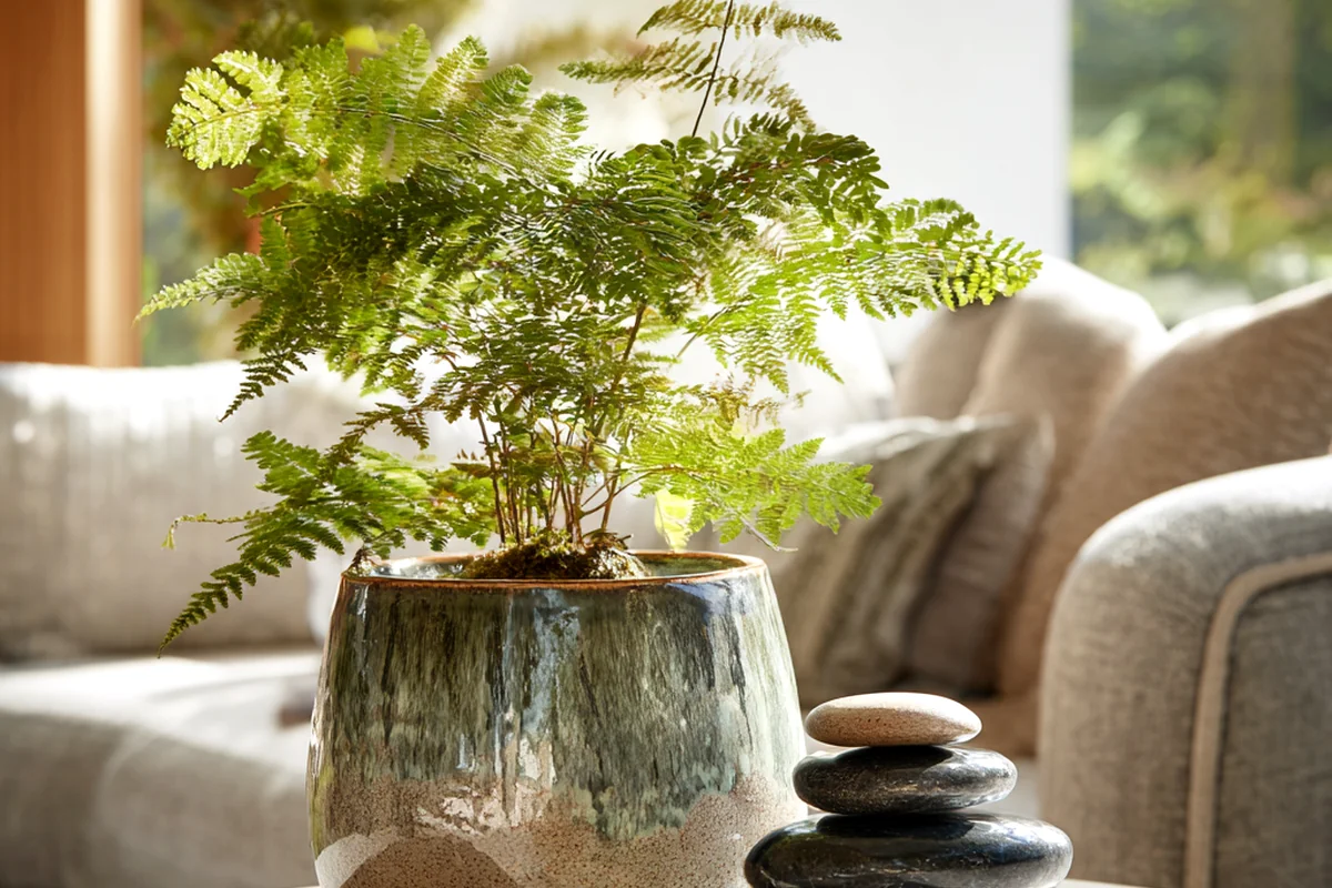 6. Curated Botanical Accents Beyond the Tree