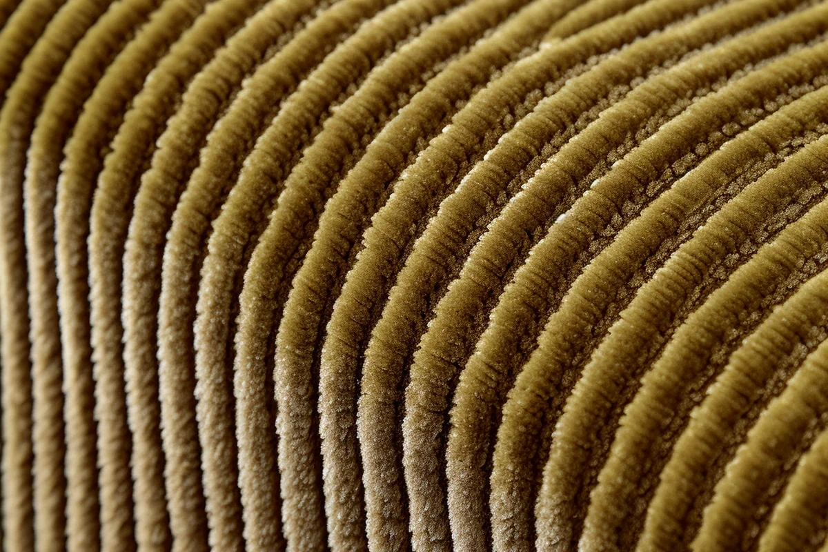 1. Laying the Foundation: Plush, Low-Slung Seating