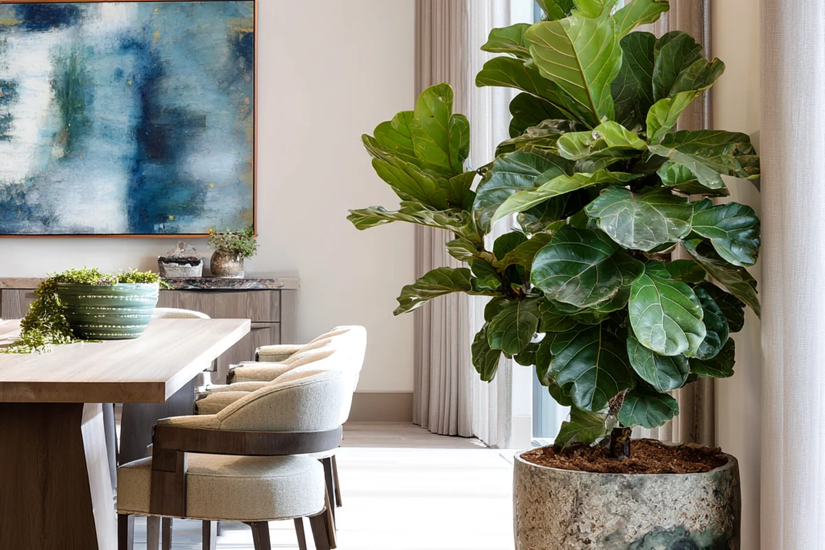 4. Biophilic Design: Bringing the Outdoors In with Living Elements